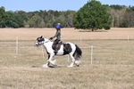 WJ6_8835