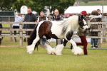 SBM_06025