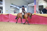 SBM_06438