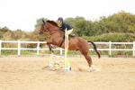 SBM_008450