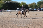 BPP_8983
