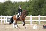 SBM_015731