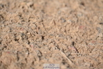 240323A-133232-03134