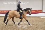 BPP_8903