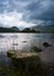 Grassmere