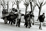 Youths sent to the countryside