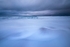 Wind-Whipped