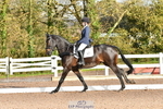 Cls 4 Novice 22 portfolio