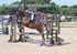 BPP_8736