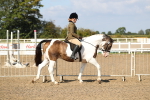 SBM_03098