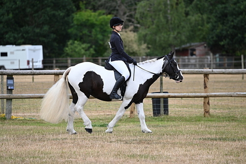 WJ6_3732