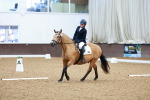 SBM_001305