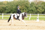 SBM_001364