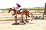 SBM_003893