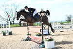 Cls 3 Snr Foxhunter portfolio