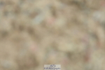 230630A-143535-03007