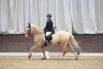 SBM_000909