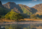 Autumn morning, Llyn Crafnant