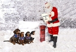 snow scene