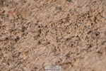 231101A-104556-00039