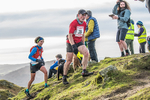 Loughrigg-158