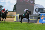 010826-Race 6-La Peregrina-3332