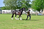 SBM_10019