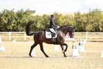 SBM_008779