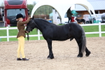 SBM_05941