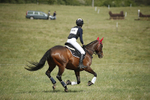 BVHT 140517  IXC -16