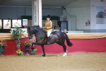 SBM_10677