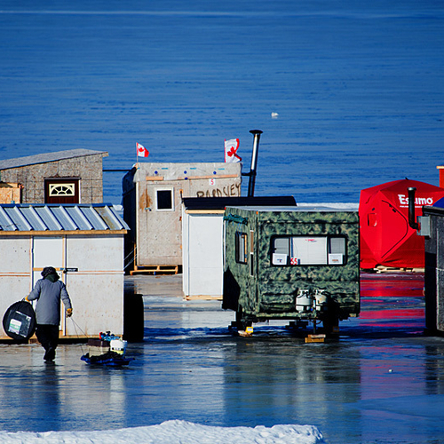 Ice fishing huts off of Renforth wharf and along the Kennebecasis River in Rothesay, New Brunswick, Canada.