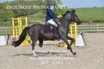 BPP_3341
