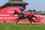 140726-Race 1-Fast Track-9298