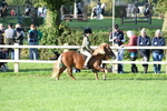 SBM_54075