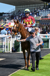 Race 4 15.45pm Beverley Annual Badgeholders Handicap portfolio