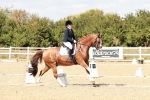 SBM_019255