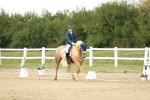 SBM_018497