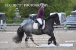 BPP_7201