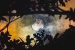 z4104 Partial Solar Eclipse, October 2022