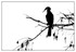 Birds - Monochrome - 03