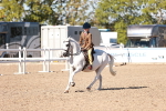 SBM_12501