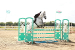 SBM_006909