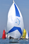 180707 UNNAMED BLUE ARROW  2F7A7333