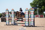 Saturday Huish (Ponies) Arena portfolio