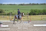 BPP_9541