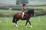 MBRC Ridden June 2015 portfolio