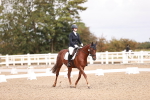 SBM_02421
