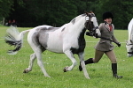 SIAL2885