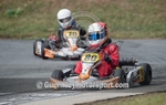 Kart Racing_08-09-2013-35